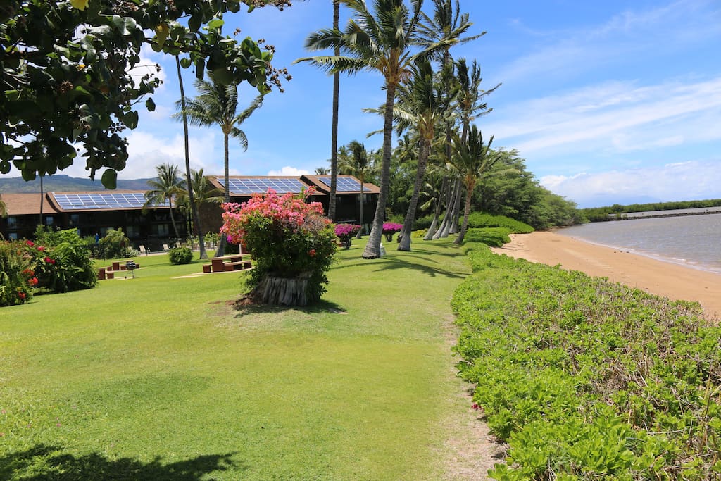Condo grounds and beach