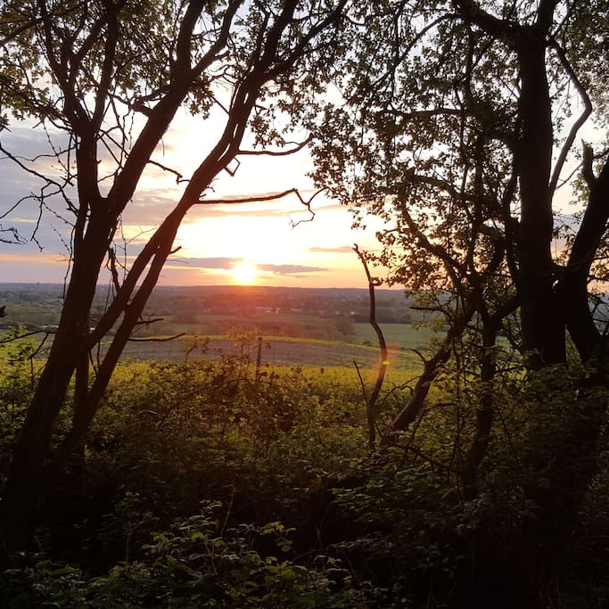 Sunset from Wytham Woods