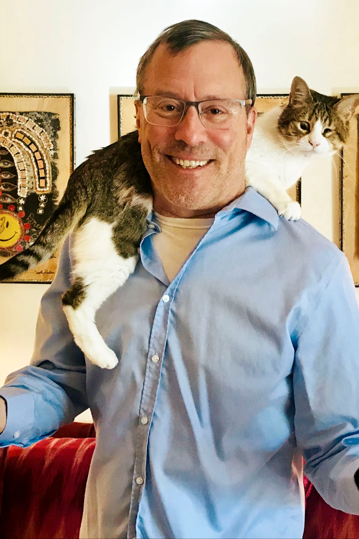 all about cat behavior