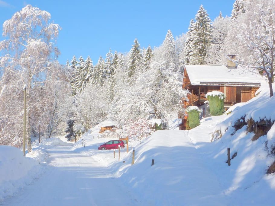 Grosse chute de neige