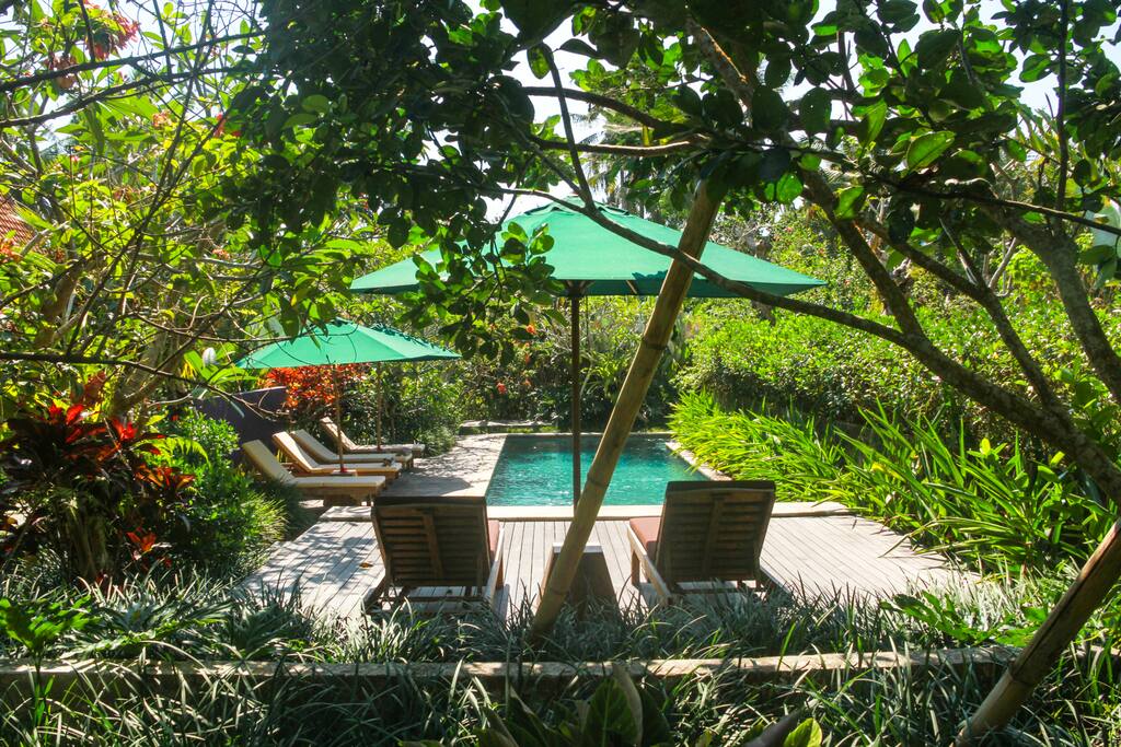 The lap pool with a shallow end perfect for kids