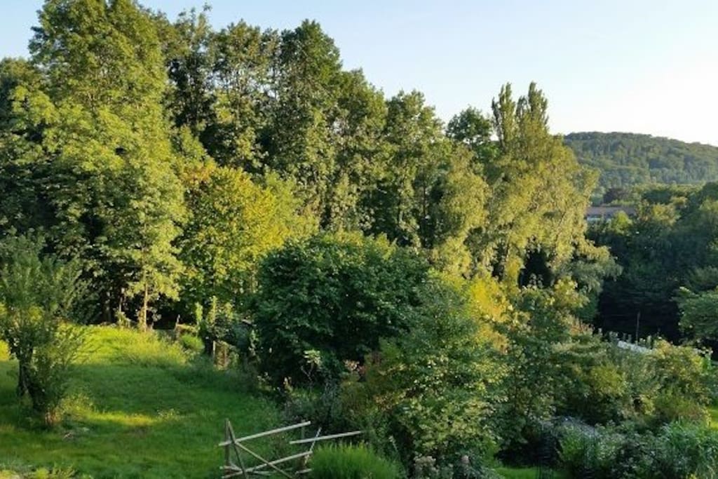 Garten im Sommer