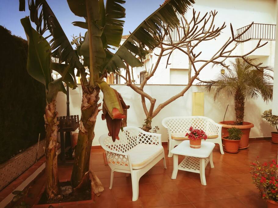 Terraza/Terrace