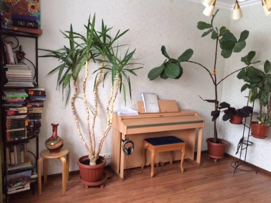 Комната. вид 2
Room with the sofa