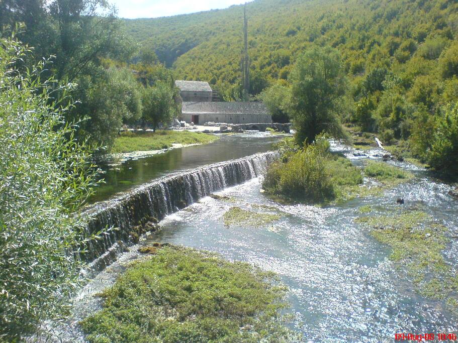 water spring Ruda