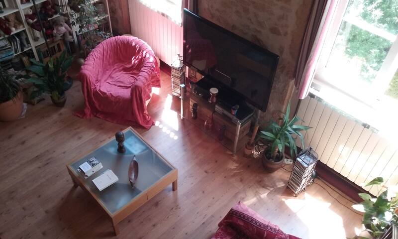 Spacious apartment in the district of Croix rousse gallery image 3