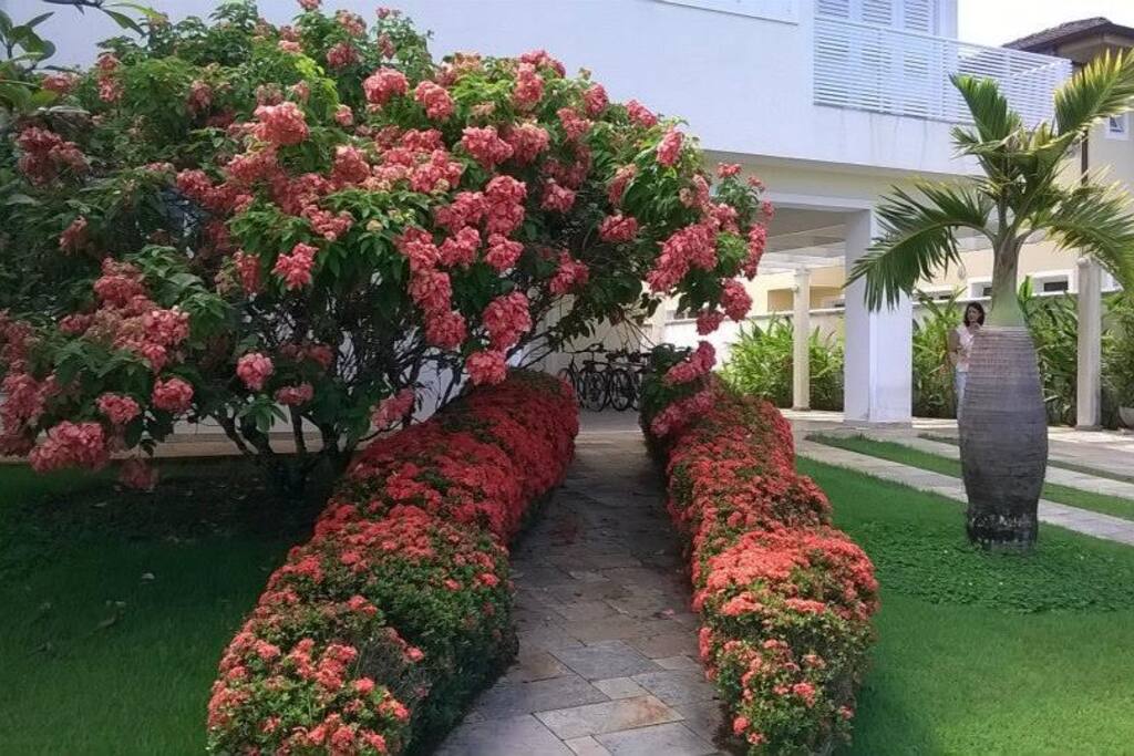 Jardim de entrada