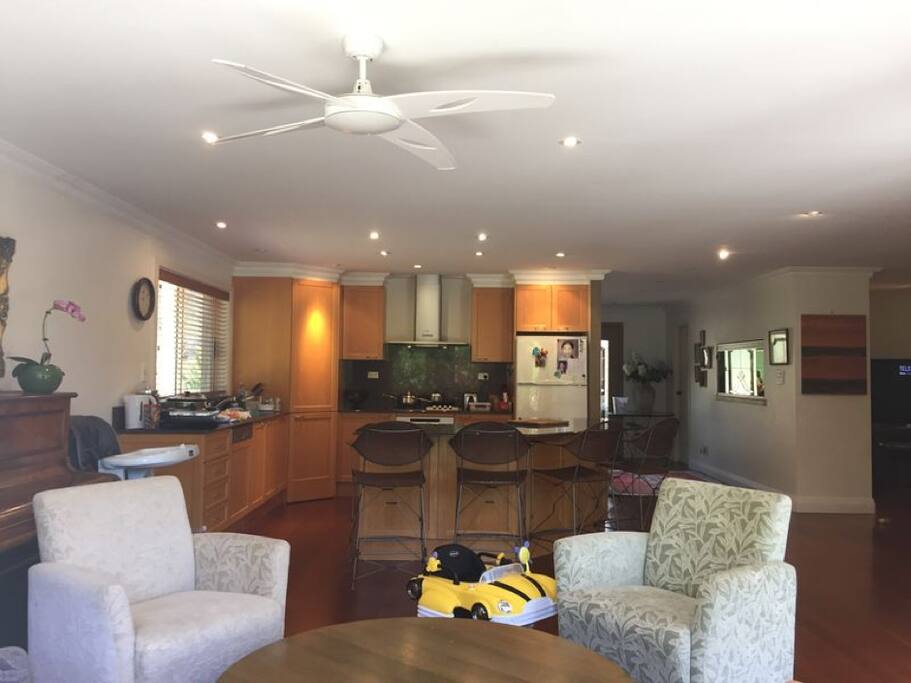 Modern Kitchen