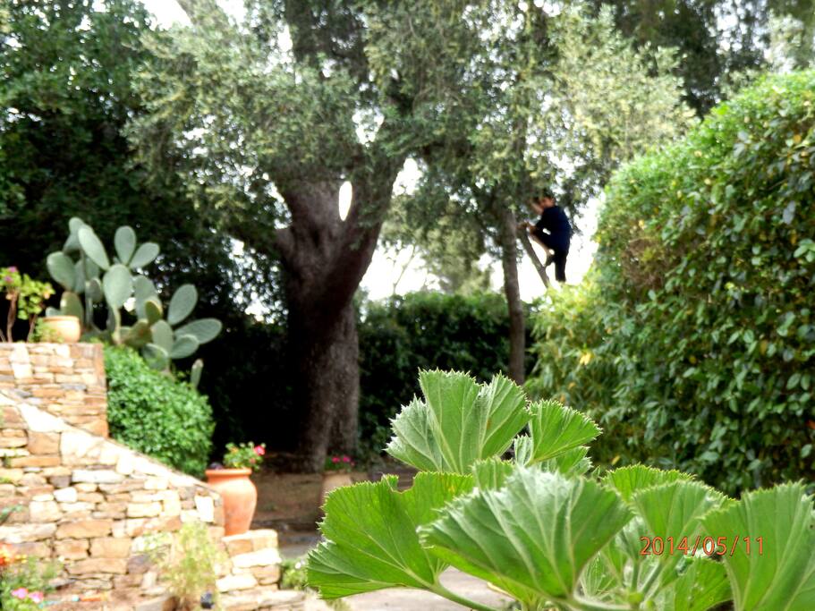 montée vers l'entrée principale