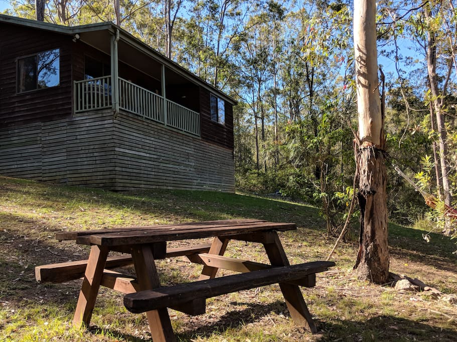 Private Picnic Table & Hammock