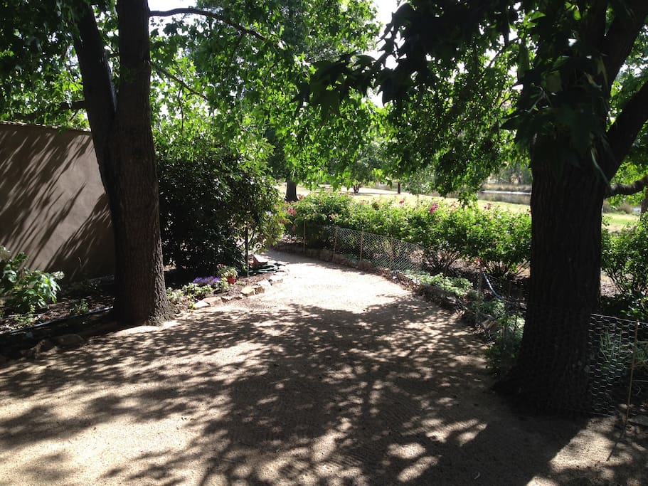 The Courtyard