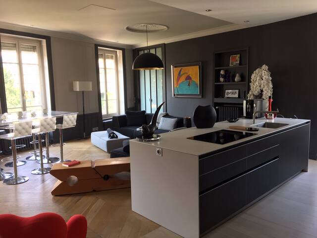 Luxury Haussmanian Appt 115m2 – Central LYON gallery image 3