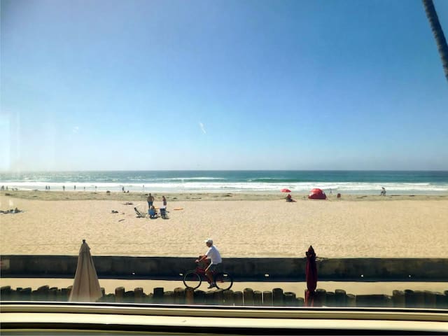 Nothing beats Ocean Front!