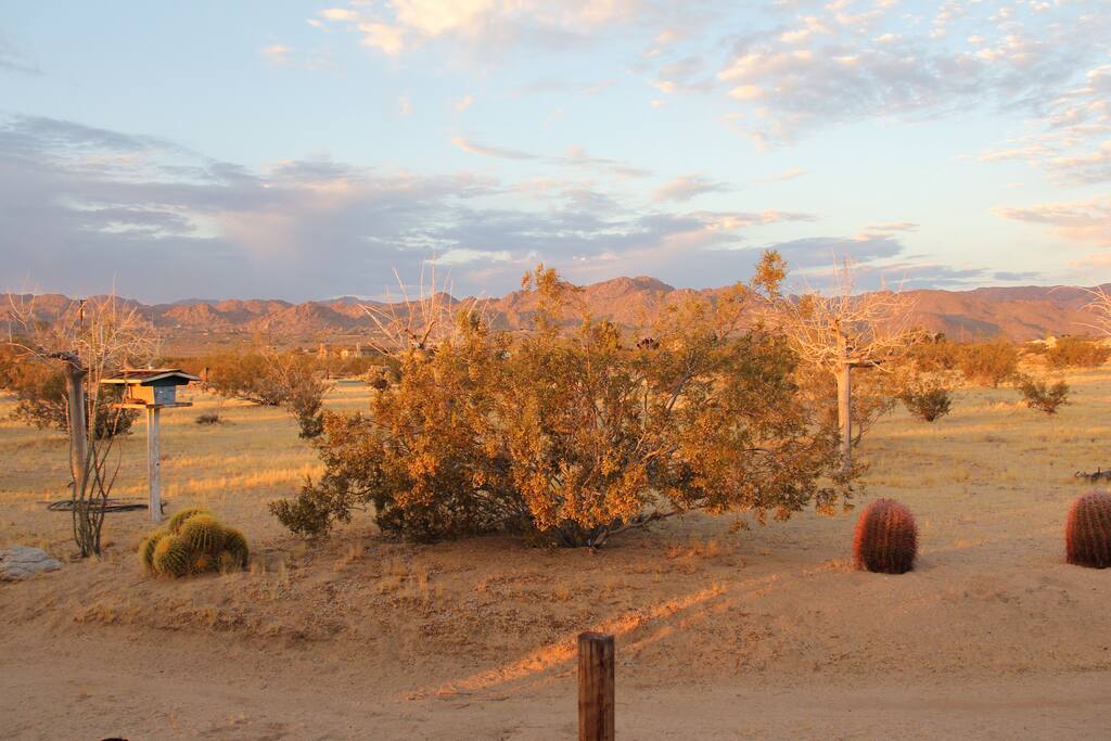 Front yard - view south towards park