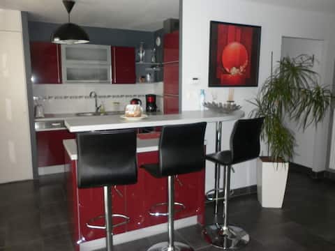 Beautiful recent and modern apartment near Colmar