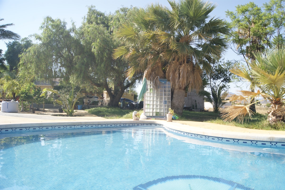 A private swimming pool is surrounded by lush greenery, including palm trees and other plants. The clear water reflects the sunlight, while a charming shower area is positioned nearby. A peaceful garden atmosphere invites relaxation amidst the natural setting.