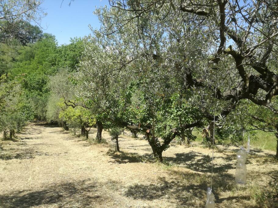 campagna sottostante