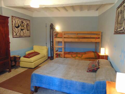 the Africa room