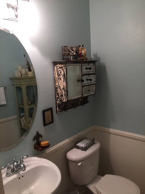 Downstairs extra WC