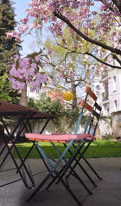 Jardin avec terrasse sous auvent