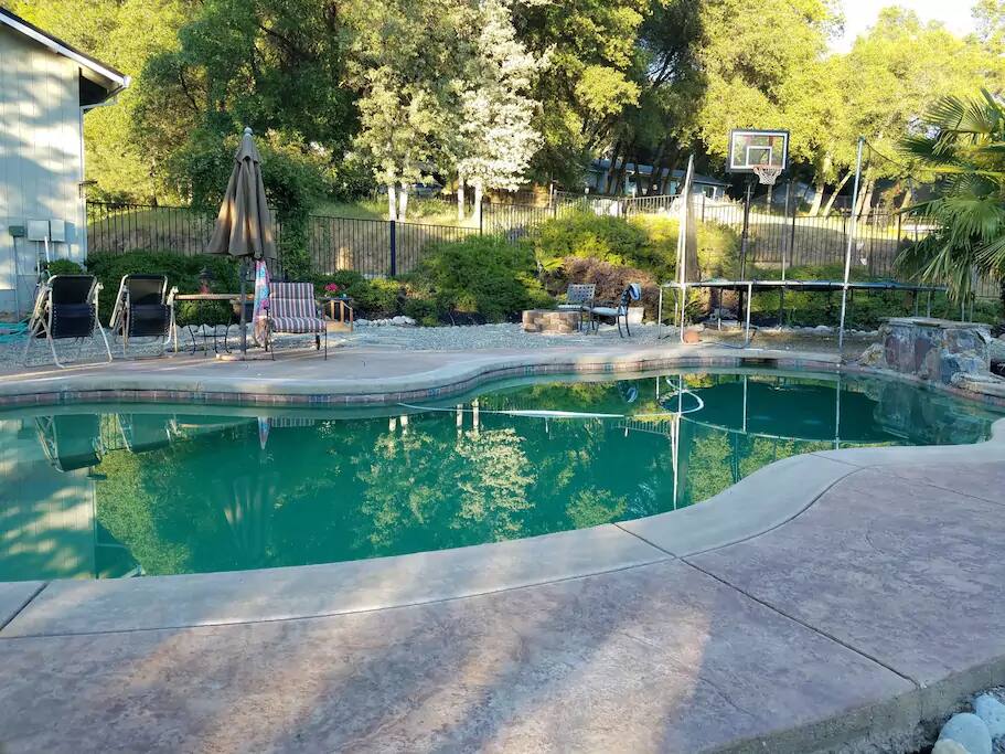 Pool and Back Yard