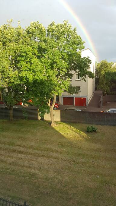 Leafy view from Living Room