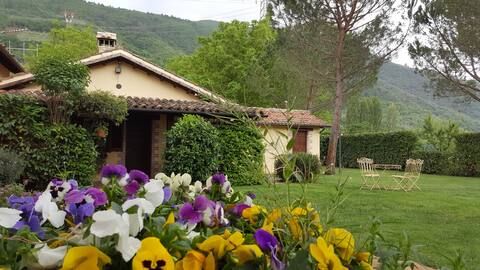 Farmhouse with pool and whirlpool:"Casa Senape"