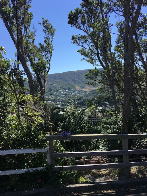 View from deck