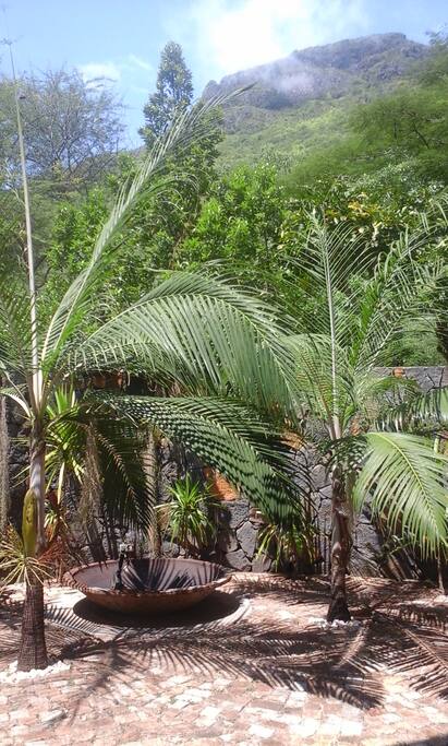front yard