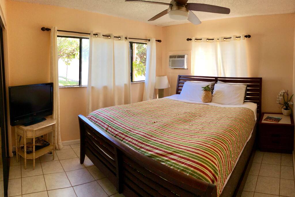 Bedroom w/king size bed, closet, TV & AC