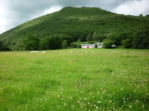 Authentic traditional Welsh farm cottage c. 1700