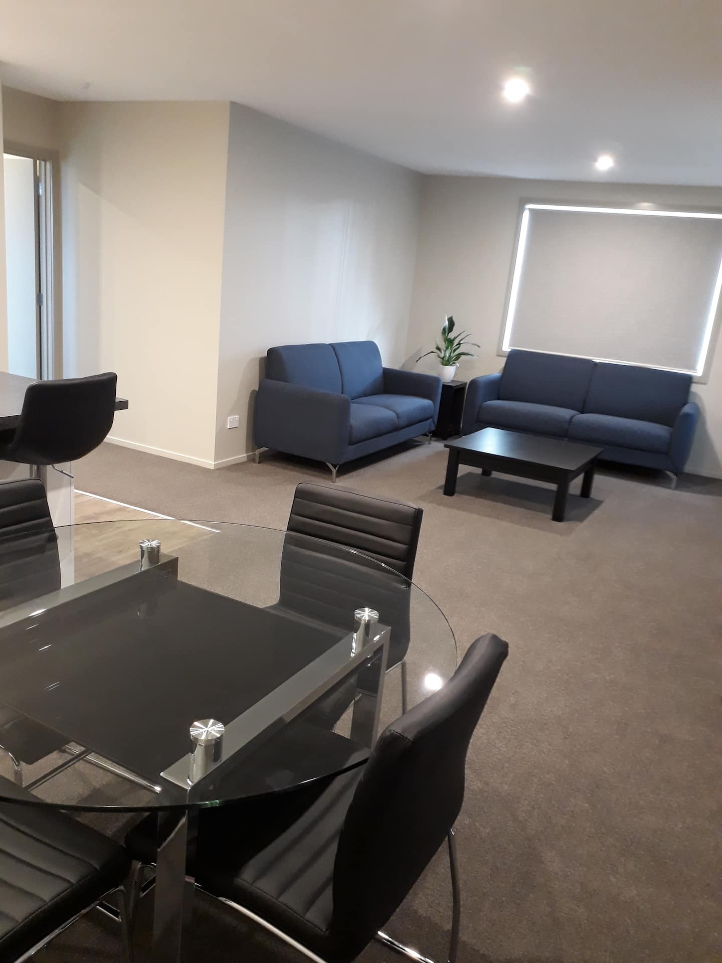 South City Accommodation Invercargill Unit 3 4