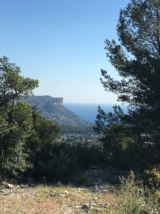 Le Cap Canaille, qui surplombe la baie de Cassis vu du chemin de randonnée au départ du logement... vous empruntez quelques marches et vous y êtes.