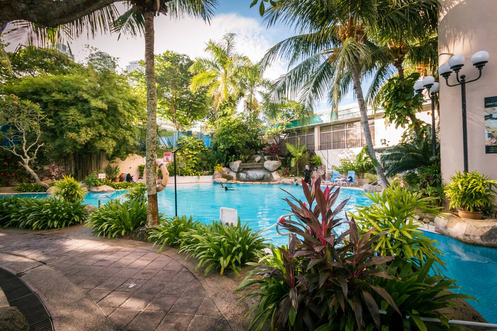 The Swimming Pool