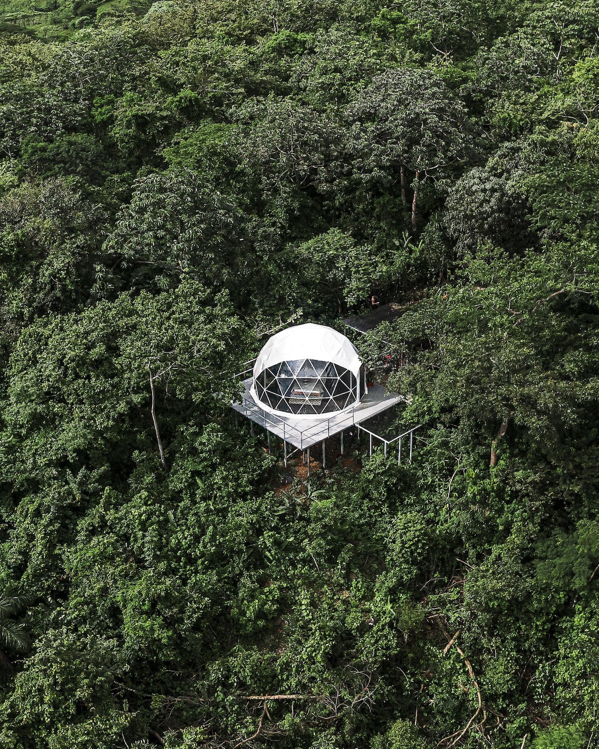A geodesic dome is situated amidst lush green foliage, elevated on a wooden deck. Surrounded by dense jungle, the structure presents a harmonious blend with nature, featuring large panoramic windows that invite natural light into the interior.