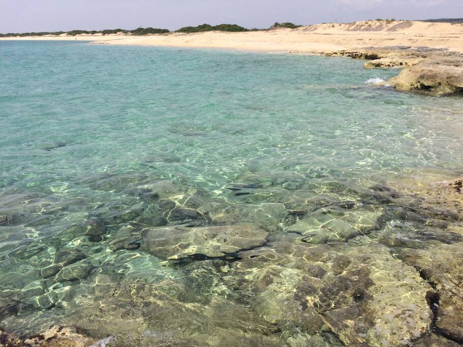 Riserva naturale "Salina dei Monaci"
