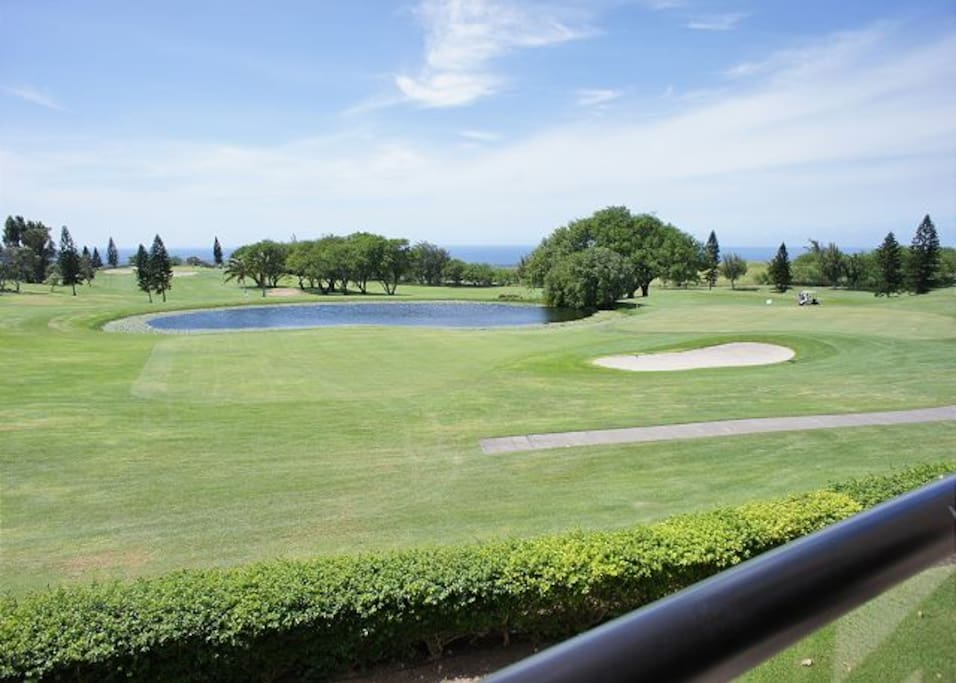 View from Lanai