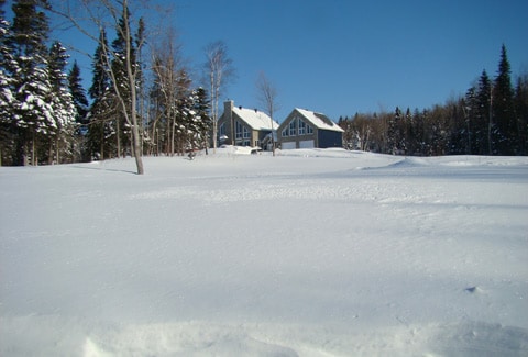 A spacious loft is set against a winter landscape, surrounded by a thick blanket of snow. The structure features large windows that reflect the clear blue sky, and evergreen trees are visible in the background, creating a serene atmosphere.