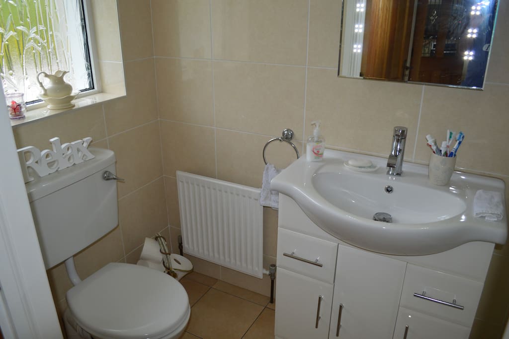 Downstairs bathroom