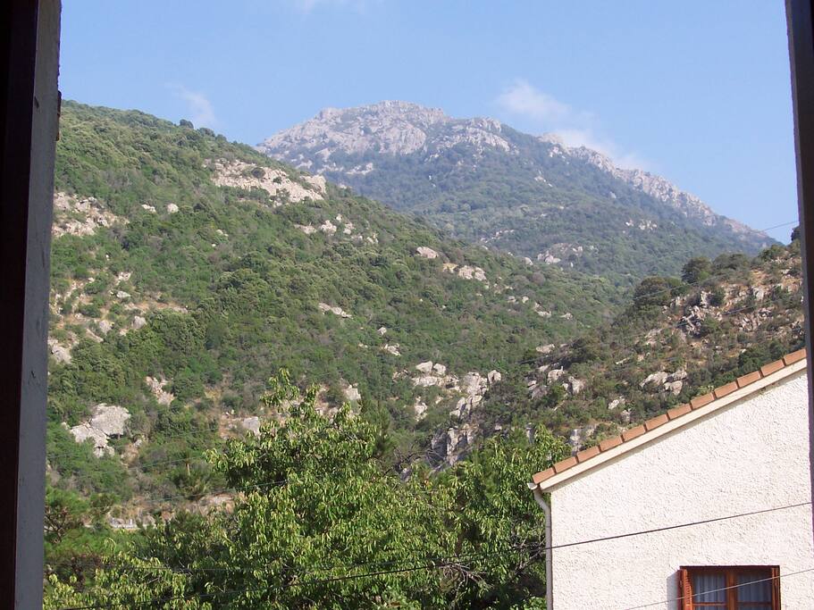 Vue