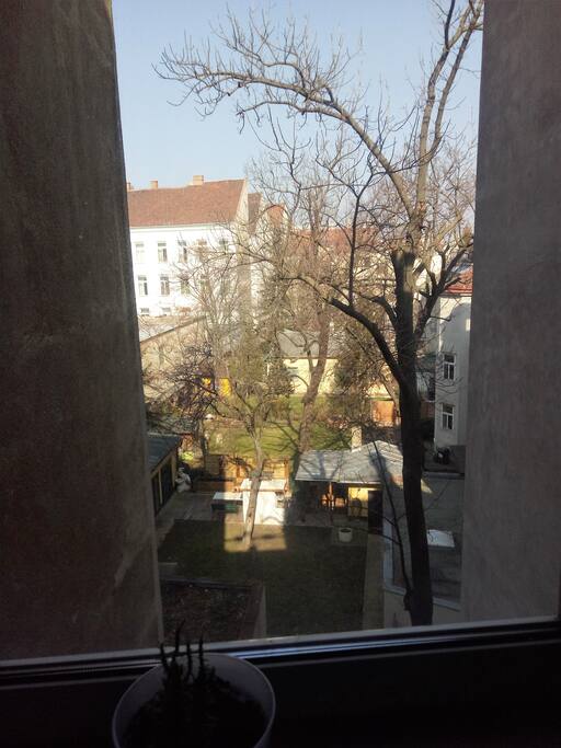 Blick vom Fenster