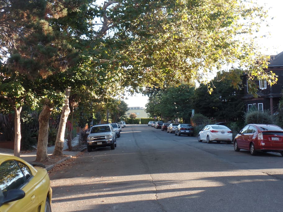 Looking south along the street ( not a lot of through traffic)