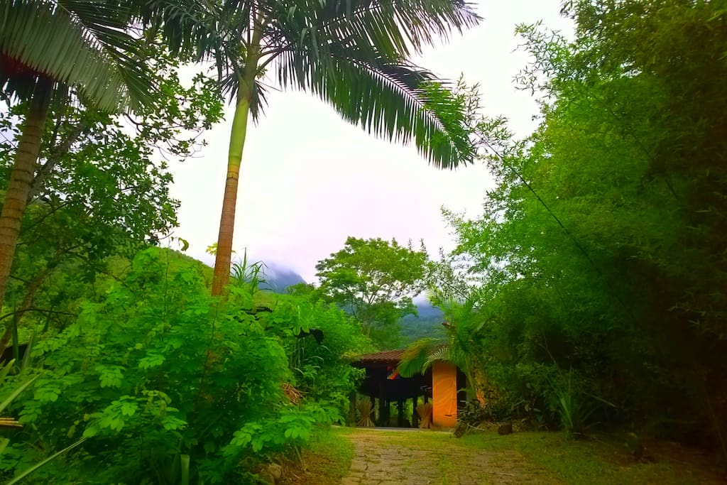 Entrada da Casa da Floresta