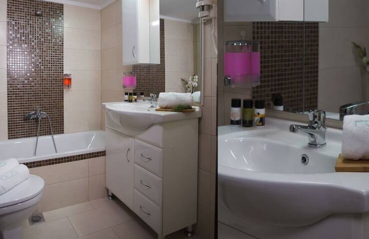 Deluxe Two-Bedroom Apartment gallery image 5