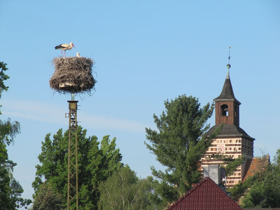 In the stork village