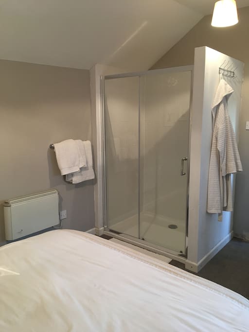 Shower in bedroom