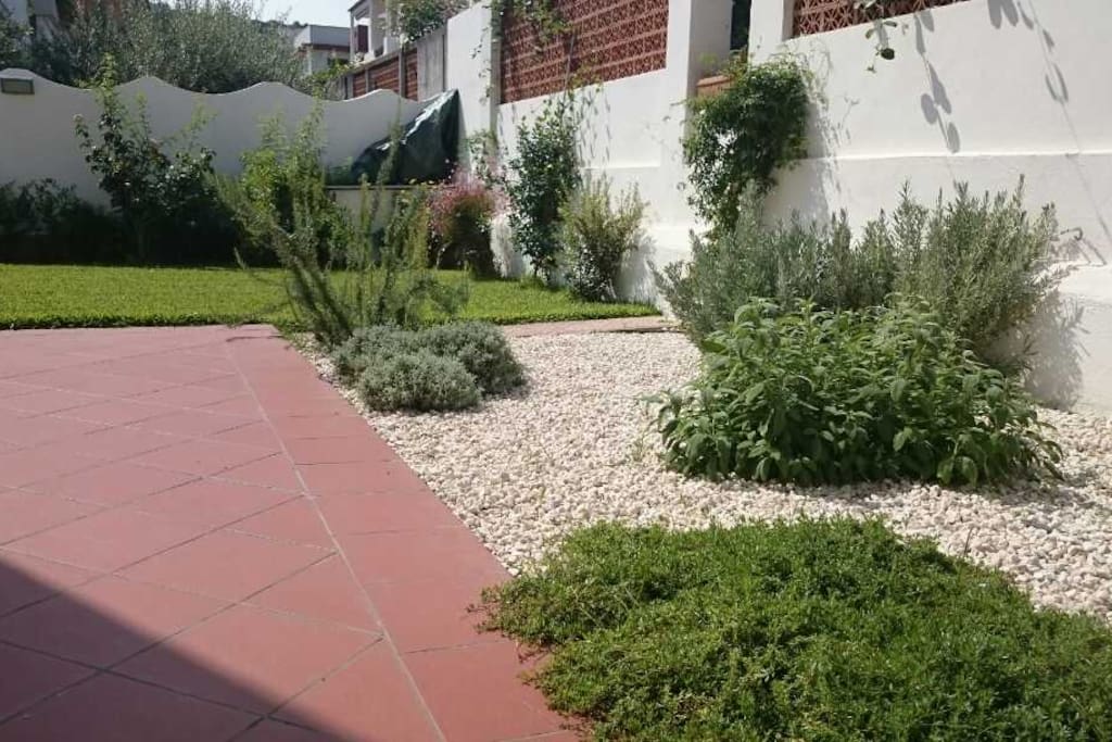 Giardino