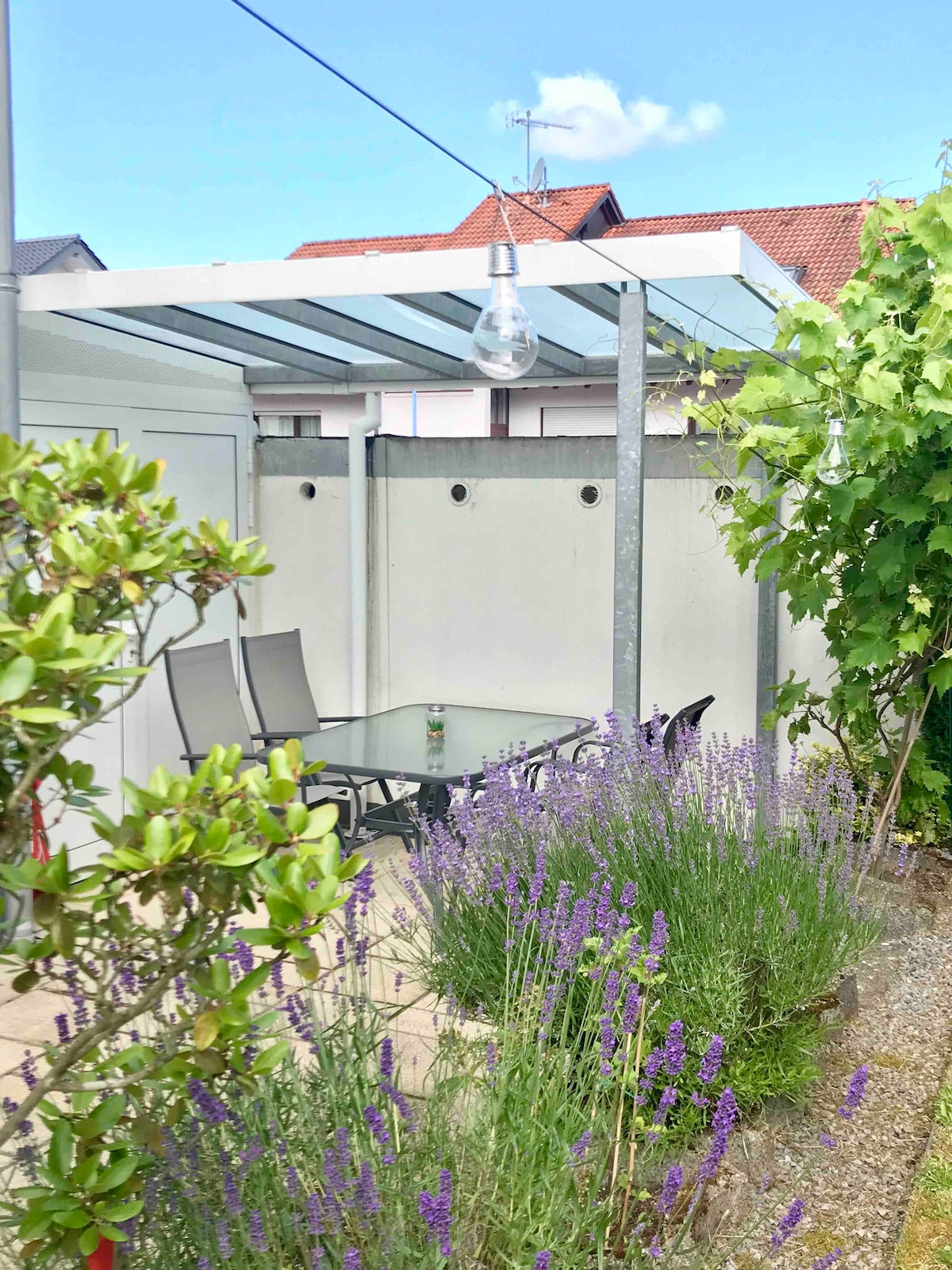 A serene terrace area is shown, featuring a glass-topped table with four chairs surrounded by blooming lavender. The space is enclosed by a partial wall and is covered by a clear roof, with decorative light bulbs hanging overhead. Lush green vines add to the natural ambiance.