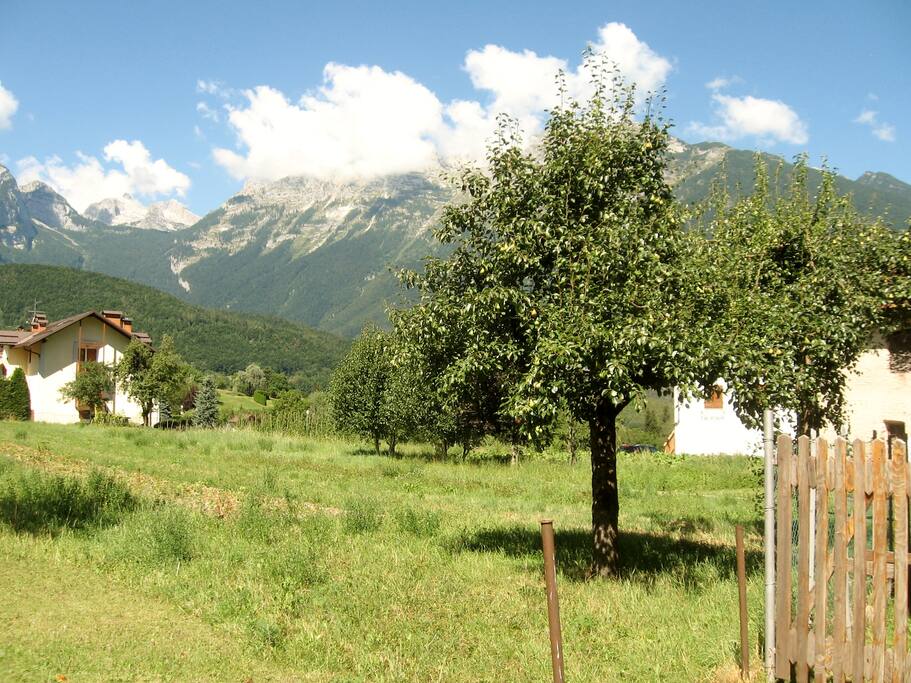 Vista dal balcone e dalla finestra della cucina sul prato e montagne.