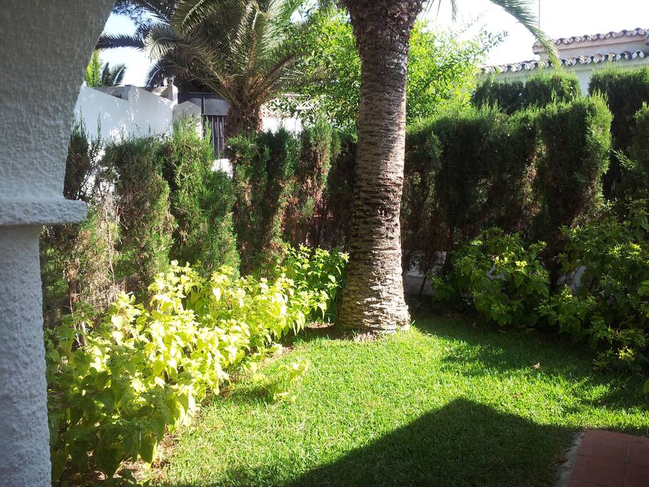 pequeño jardin